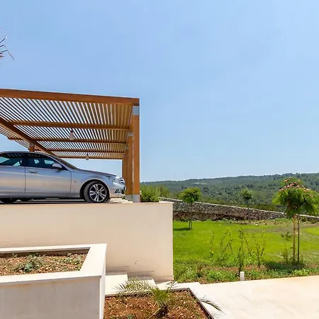 Amalia Zastražišće